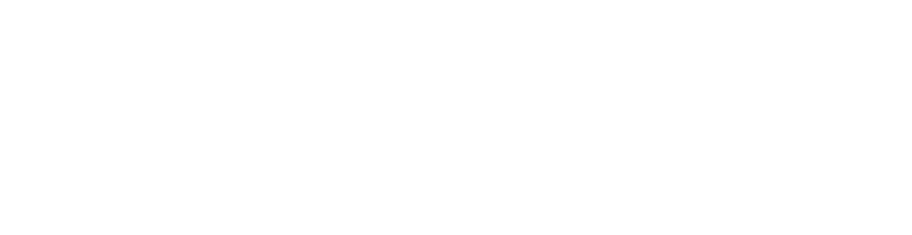 True Life franchise logo